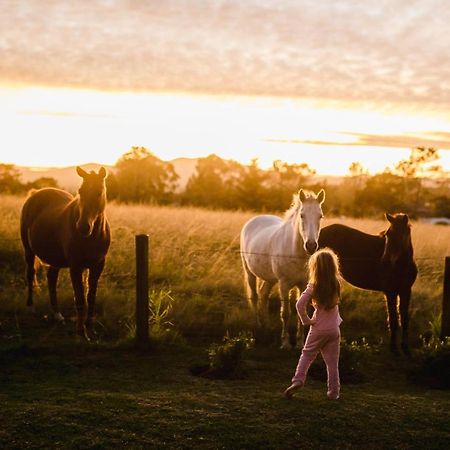 Fernhill Guest Farm Villa Knysna Ngoại thất bức ảnh