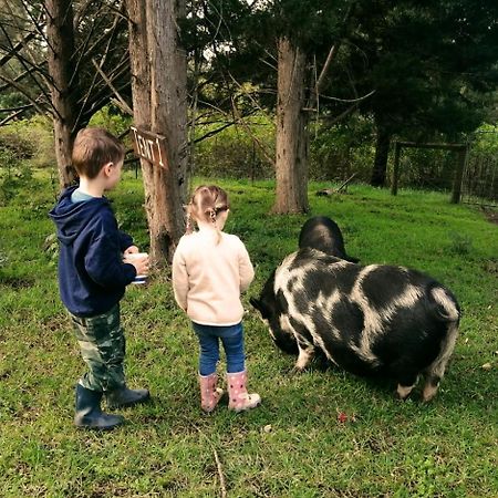 Fernhill Guest Farm Villa Knysna Ngoại thất bức ảnh