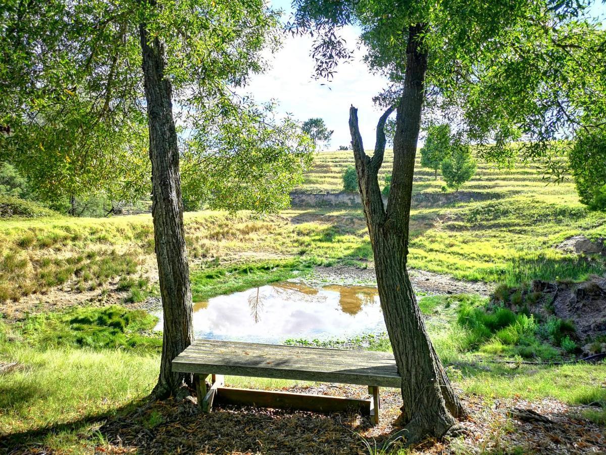 Fernhill Guest Farm Villa Knysna Ngoại thất bức ảnh