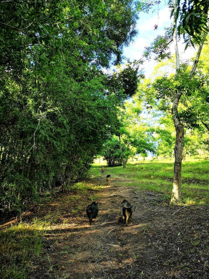 Fernhill Guest Farm Villa Knysna Ngoại thất bức ảnh