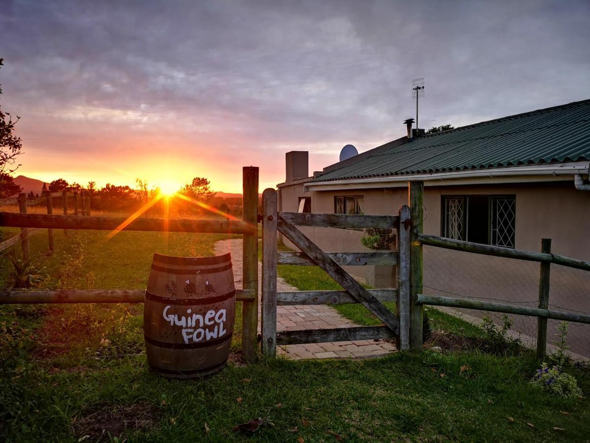 Fernhill Guest Farm Villa Knysna Ngoại thất bức ảnh