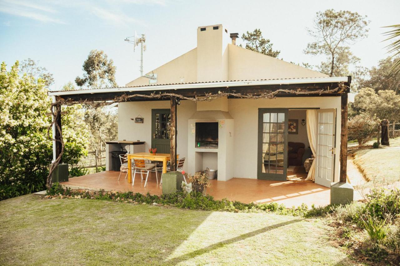 Fernhill Guest Farm Villa Knysna Ngoại thất bức ảnh