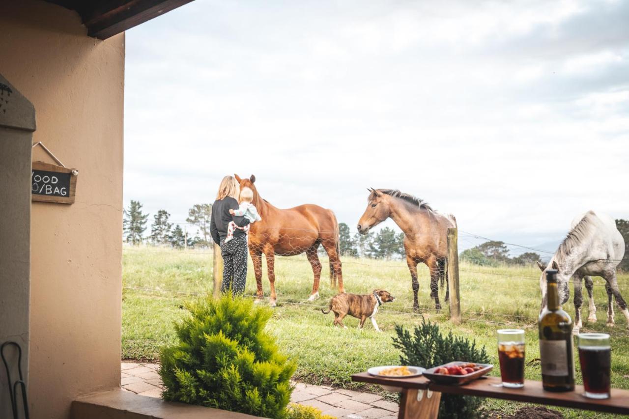 Fernhill Guest Farm Villa Knysna Ngoại thất bức ảnh
