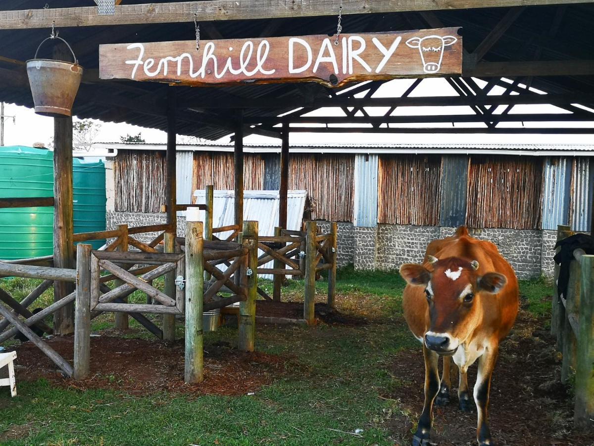 Fernhill Guest Farm Villa Knysna Ngoại thất bức ảnh
