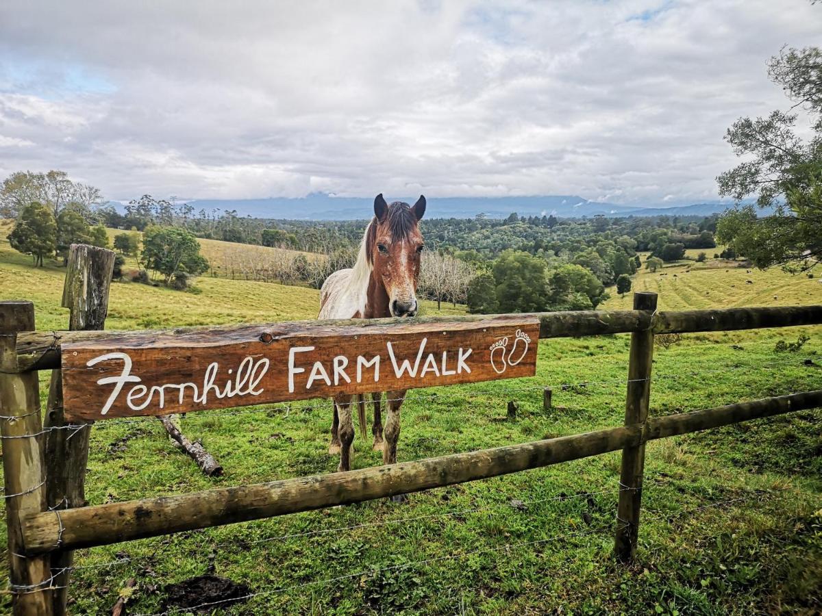 Fernhill Guest Farm Villa Knysna Ngoại thất bức ảnh