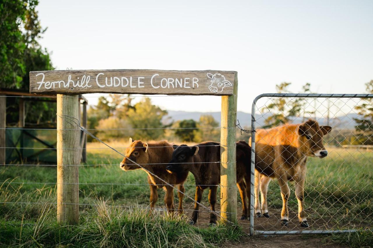 Fernhill Guest Farm Villa Knysna Ngoại thất bức ảnh