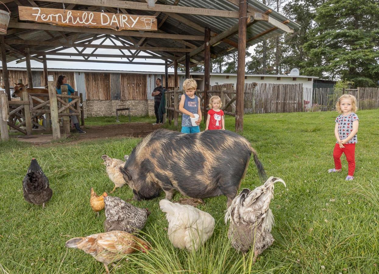 Fernhill Guest Farm Villa Knysna Ngoại thất bức ảnh
