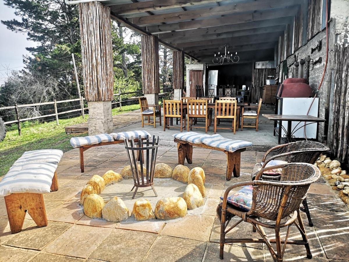 Fernhill Guest Farm Villa Knysna Ngoại thất bức ảnh