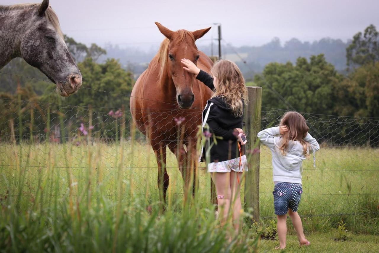 Fernhill Guest Farm Villa Knysna Ngoại thất bức ảnh