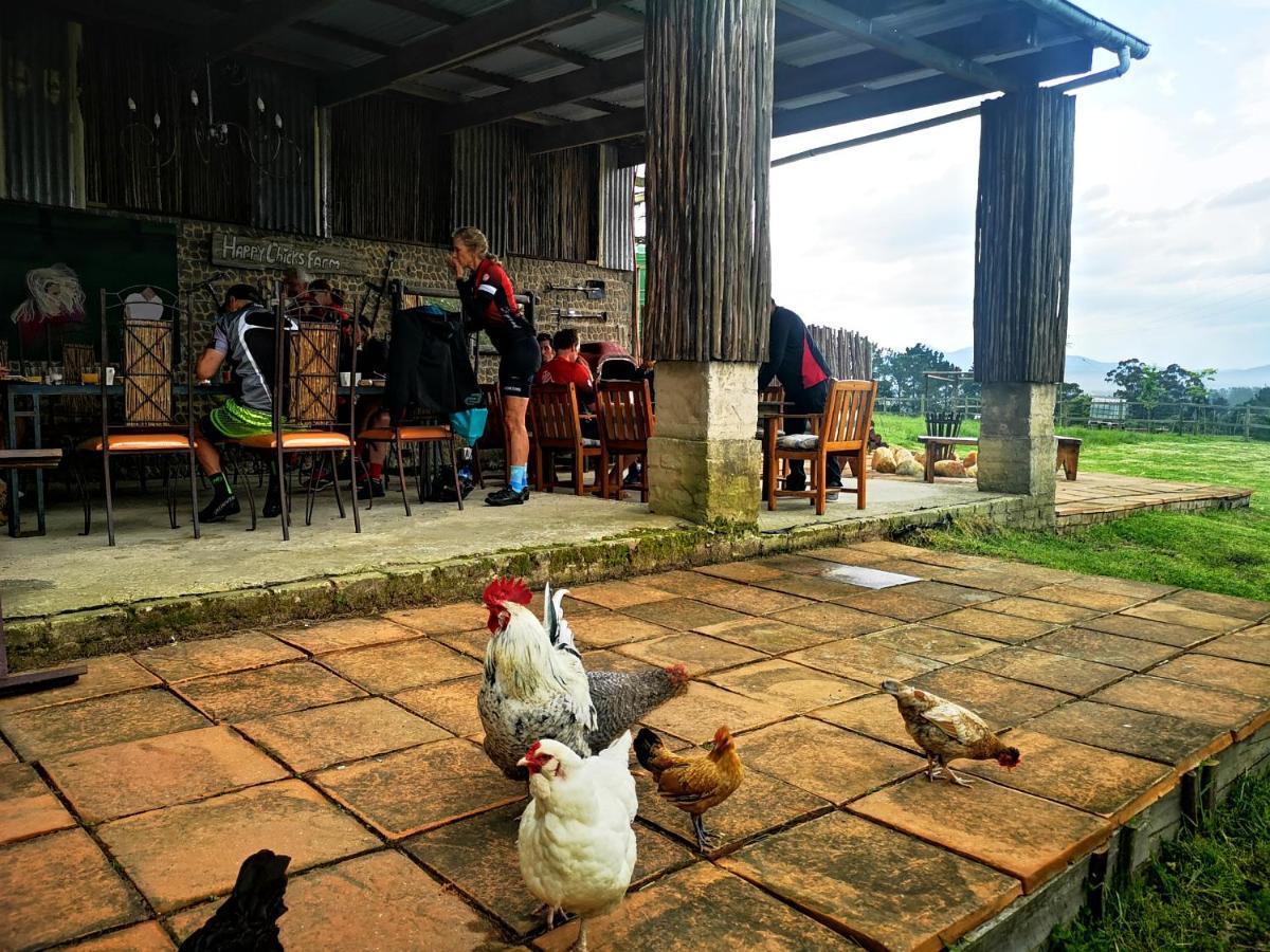 Fernhill Guest Farm Villa Knysna Ngoại thất bức ảnh